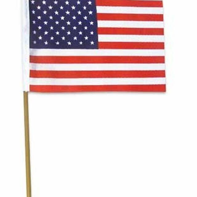 12-pack plastic Amerikaanse vlaggen 4x6 9034 voor wholesale door Private Island Party