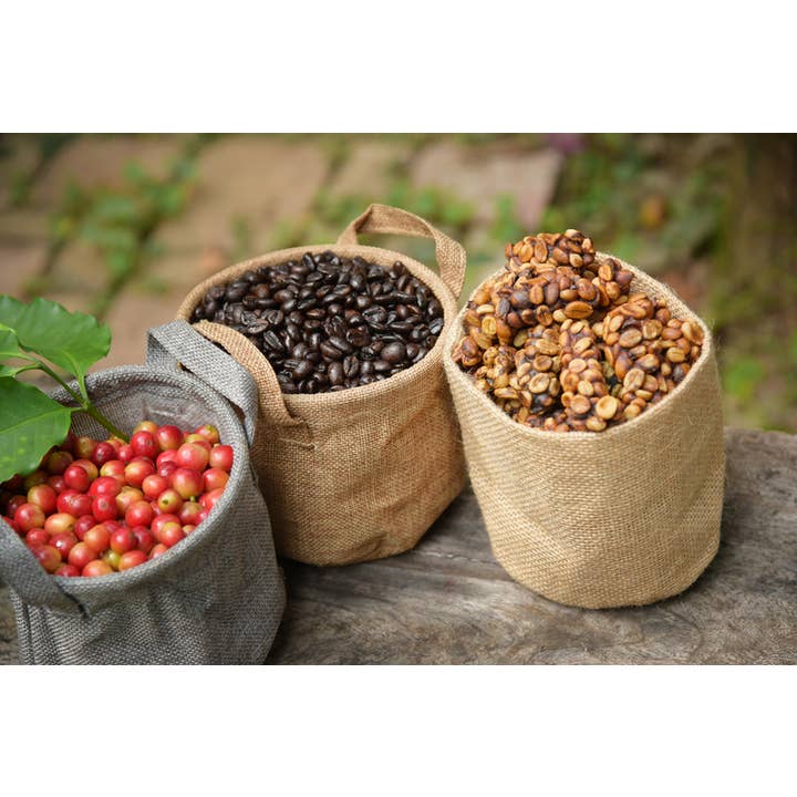 Vail Mountain Coffee & Tea Co. - Wholesale Coffee Beans - Celebes Kalossi Coffee - Toraja Estate1