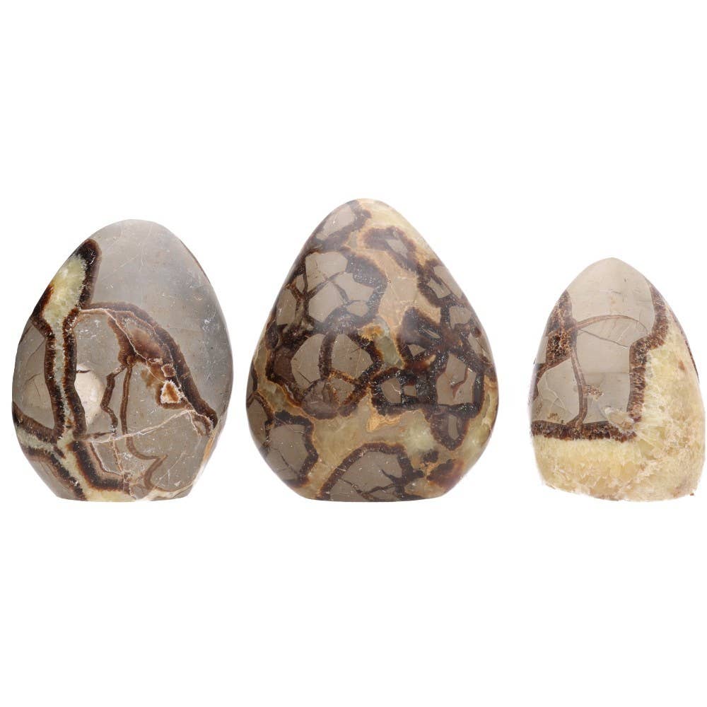 Vives de la Cortada S.L – wholesale Spiritual stone/crystal – Polished forms of Septaria1