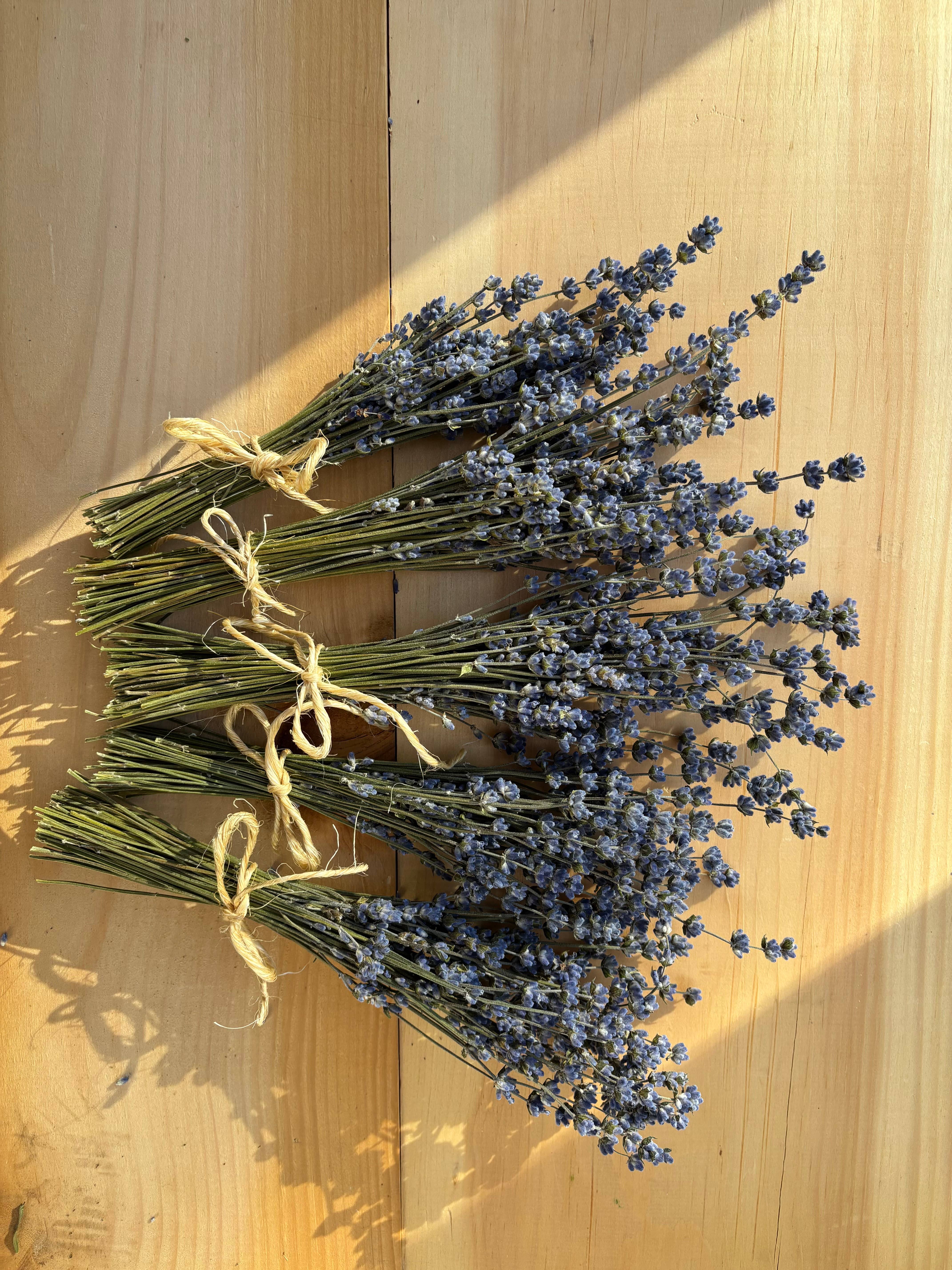 Lavender Creek Farm - Wholesale Dried/Pressed Flowers - Dried Lavender Mini-Bunches4
