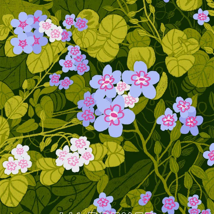 lu bremer design - Wholesale Art Print - "don't forget me" floral plant art print - 8x105