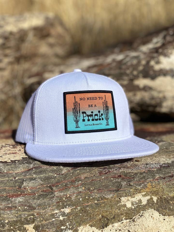 Boné de Caminhoneiro Sem Precisar Ser Um Idiota por atacado de Little Rogue Co