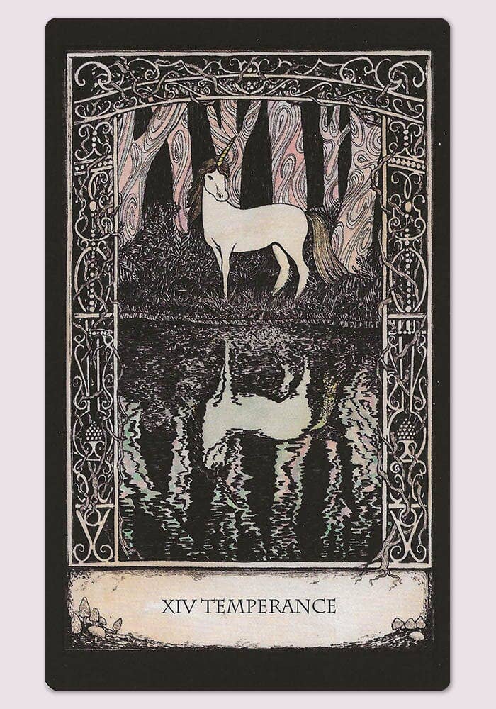 Cardshouse – Cartas de tarô por atacado – Conjunto de Baralho e Livro Tarot of Tales - Cardshouse11