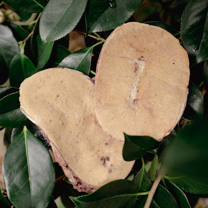 Love Liparu – wholesale Godis - Hund – Frystorkade godbitar med nötkreaturstestiklar för hund och katt0