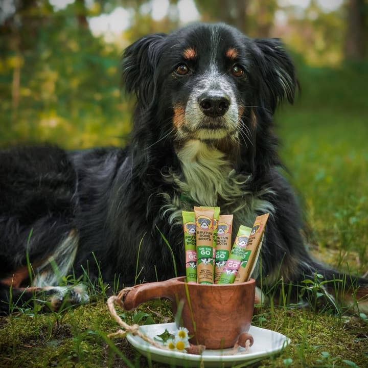 Brutus Broth - Wholesale Pet Treats - Dog - Brutus Broth Instant Bone Broth Chicken3