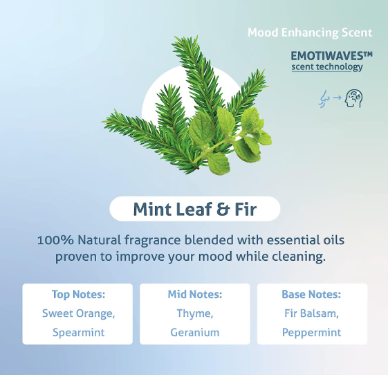 Therapy Clean - Wholesale Glass Cleaner - Window & Glass Cleaner 24 oz.7