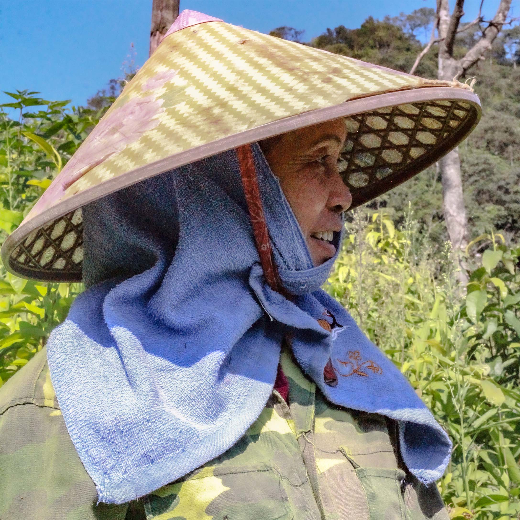 Curio Spice Co - Wholesale Rub - Da Lat Spice3