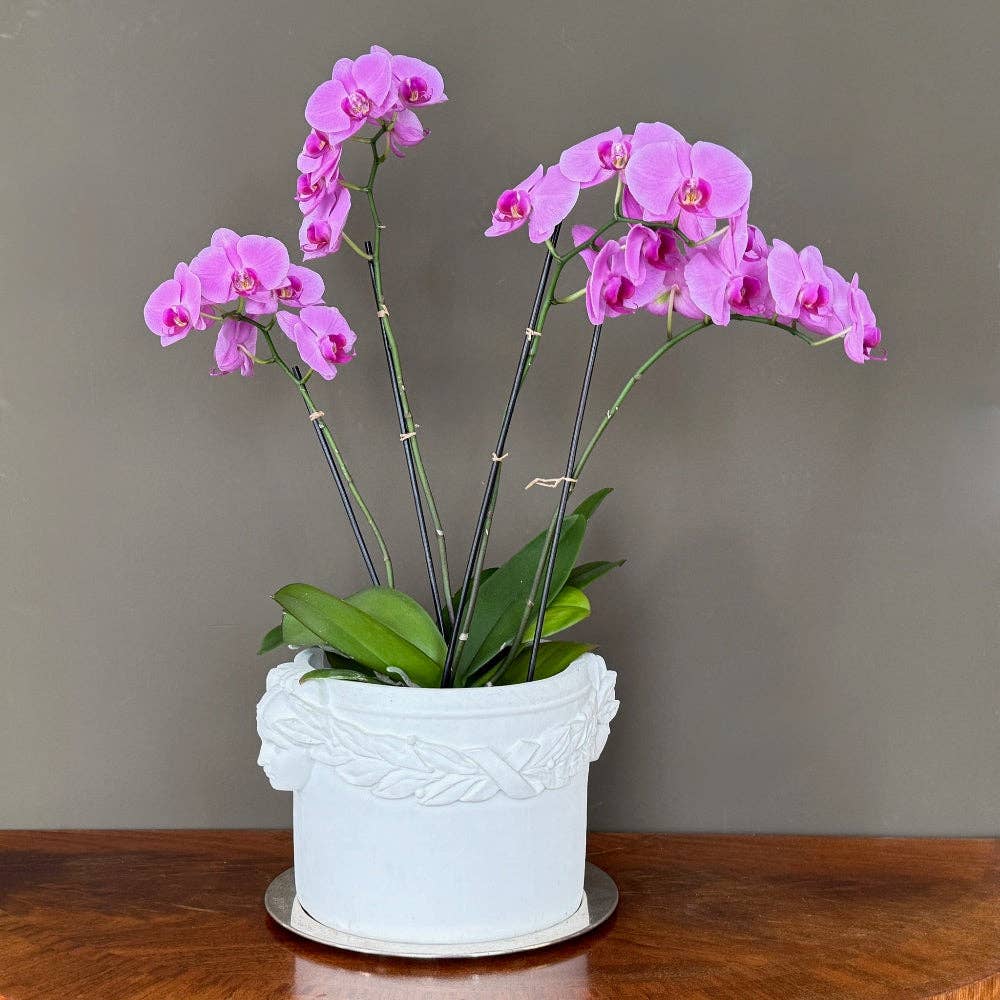 House Parts, Inc. - Wholesale Plant Pot - Laurel Leaves Planter3