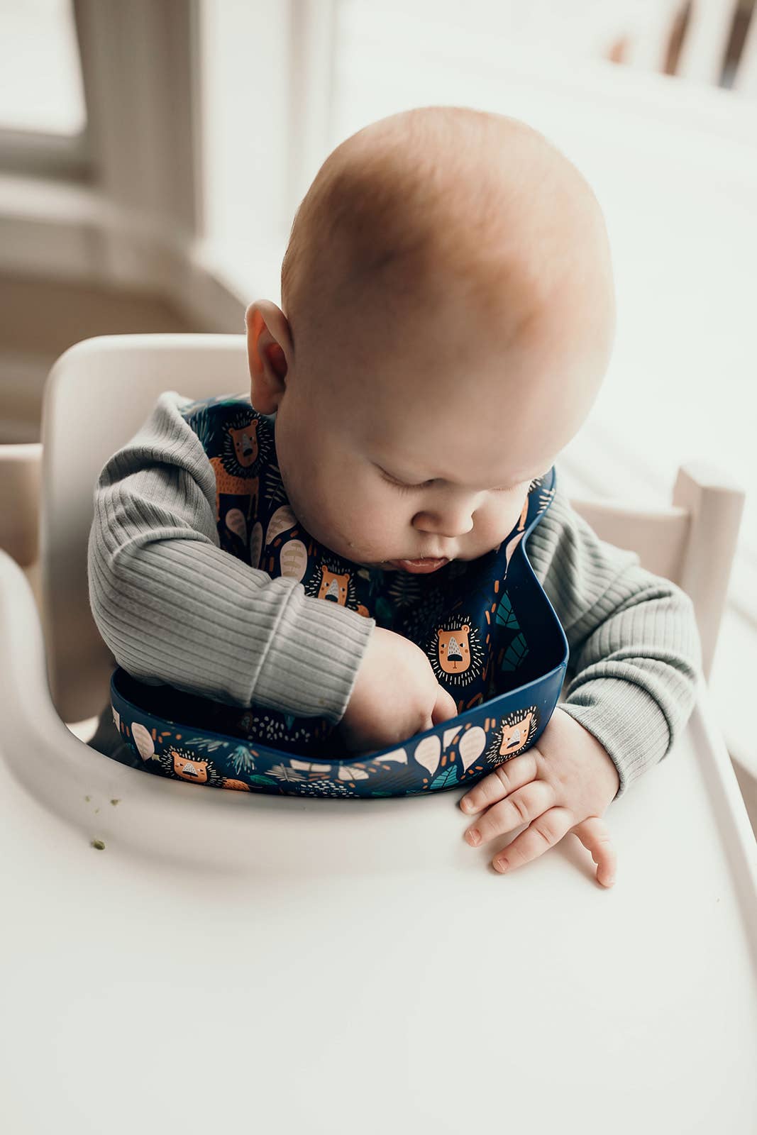 Three Little Tots - Wholesale Bib - Baby - Zoo Lion Print Silicone Bib with Crumb Catcher9