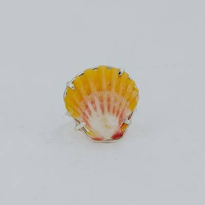 Wings Hawaii - Wholesale Cocktail/Statement Ring - Prong Set Sunrise Shell Ring - SS2
