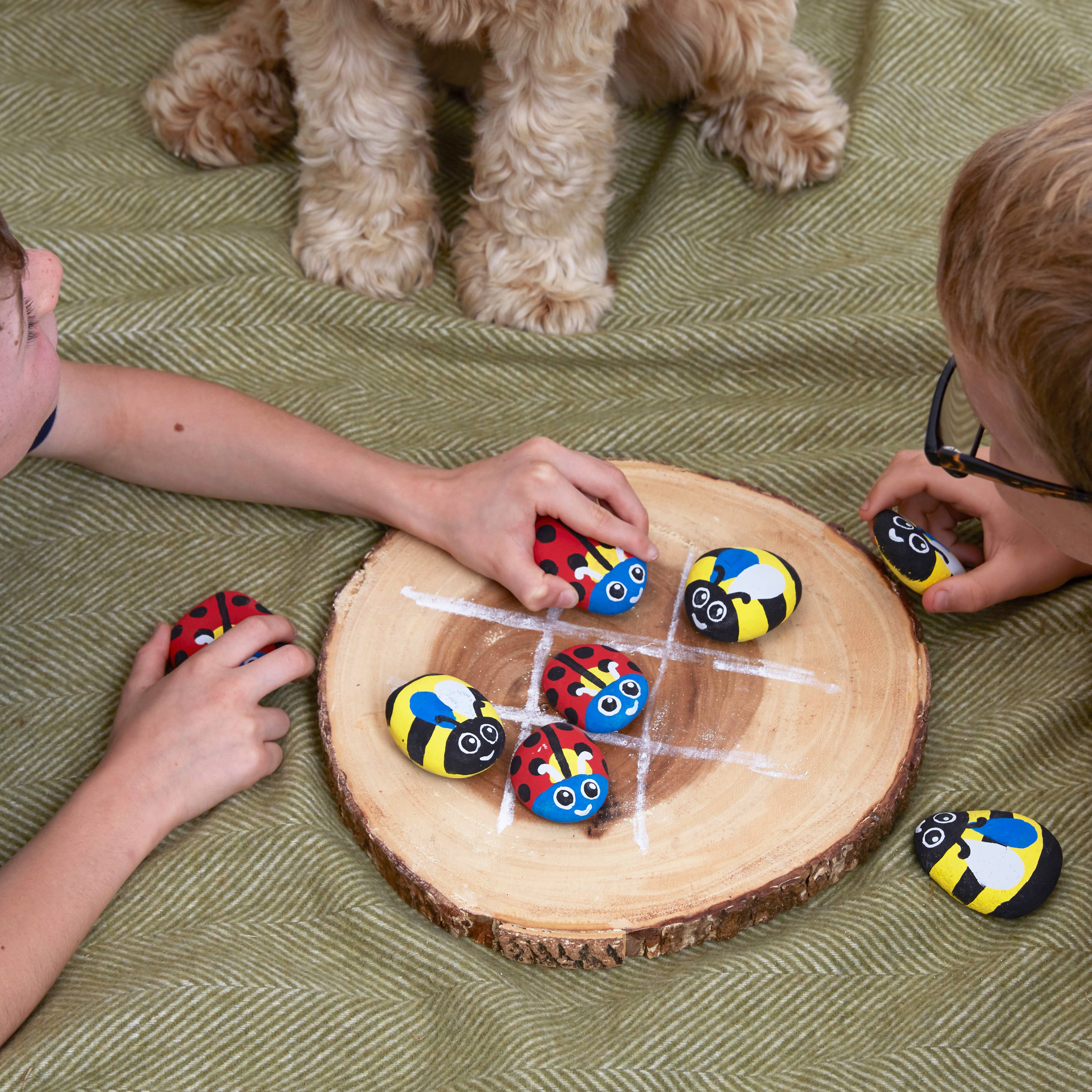 West Design Products – wholesale DIY craft kit – Child – Royal Horticultural Society Rock Painting Kit - Bugs7