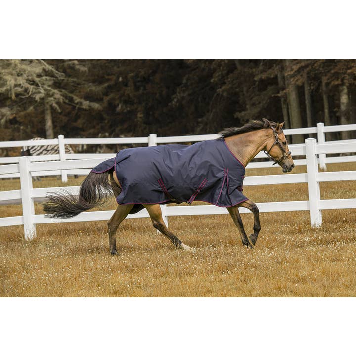JPC Equestrian - Wholesale Horseback Riding Gear - Tuffrider 1200 D Comfy Winter Blanket Medium Weight 200 gms