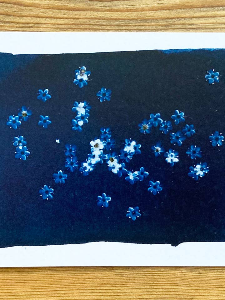 Carte de vœux bleue botanique « Elderflowers » pour la vente par Made By McDuff
