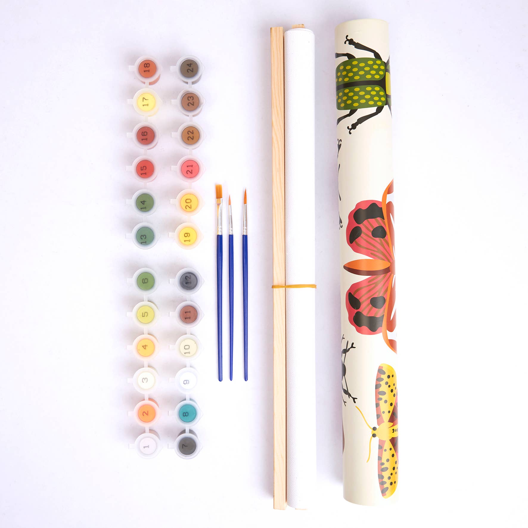West Design Products – wholesale Craft supplies – Royal Horticultural Society Paint By Numbers Kit, Bug Study2