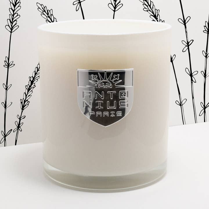 Reiner Lavendel für den Großhandel von Maison Antonius