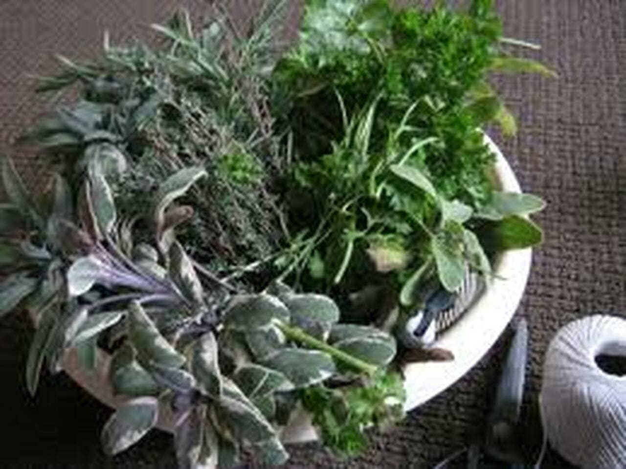 C & J Farms - Wholesale Herbs - Scarborough Fair Herb Blend4