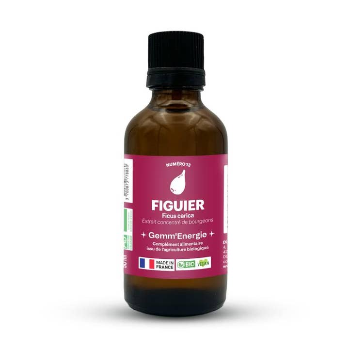 Gemmo Fig Tree for wholesale by athanor