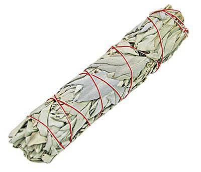 808 Company – wholesale Sage bundle – White Sage - 9"1