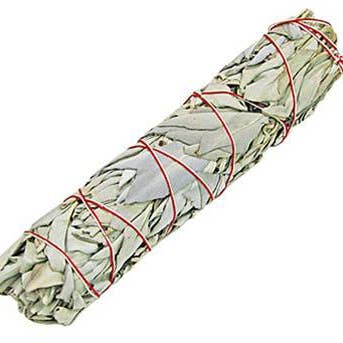 808 Company – wholesale Sage bundle – White Sage - 9"1