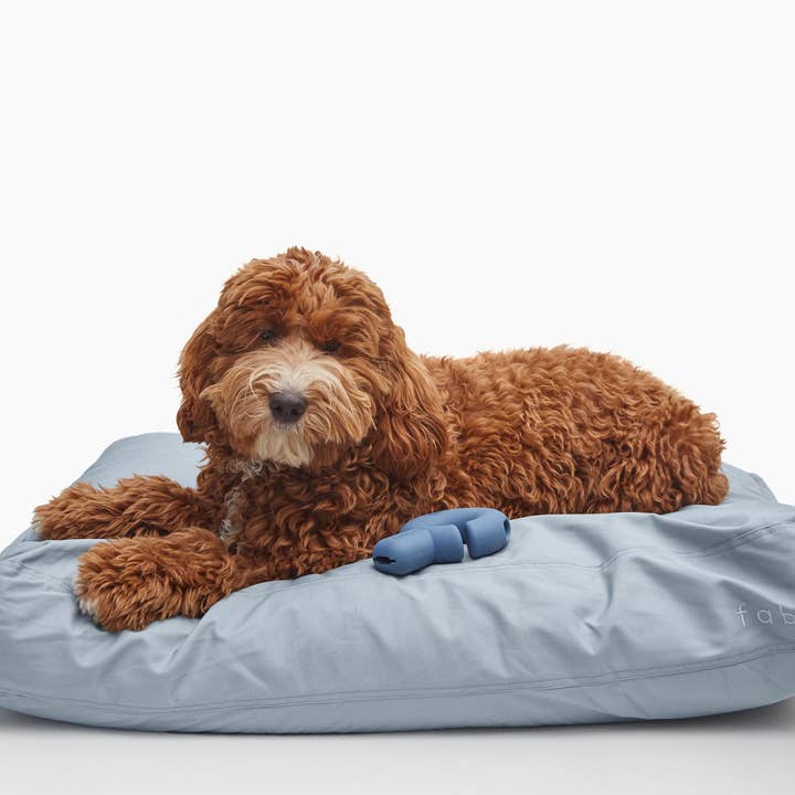Durable Water-Resistant Memory Foam Dog Bed and other Purchase wholesale memory foam dog bed. Free returns & net 60 terms on Faire trending on Faire.