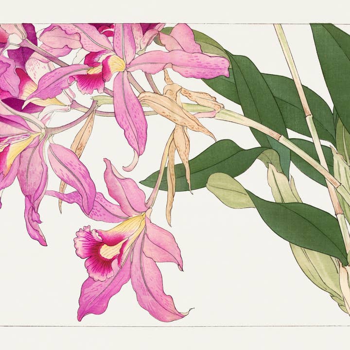 Mint by Michelle - Wholesale Craft supplies - Orchids - A1 size large Decoupage Paper