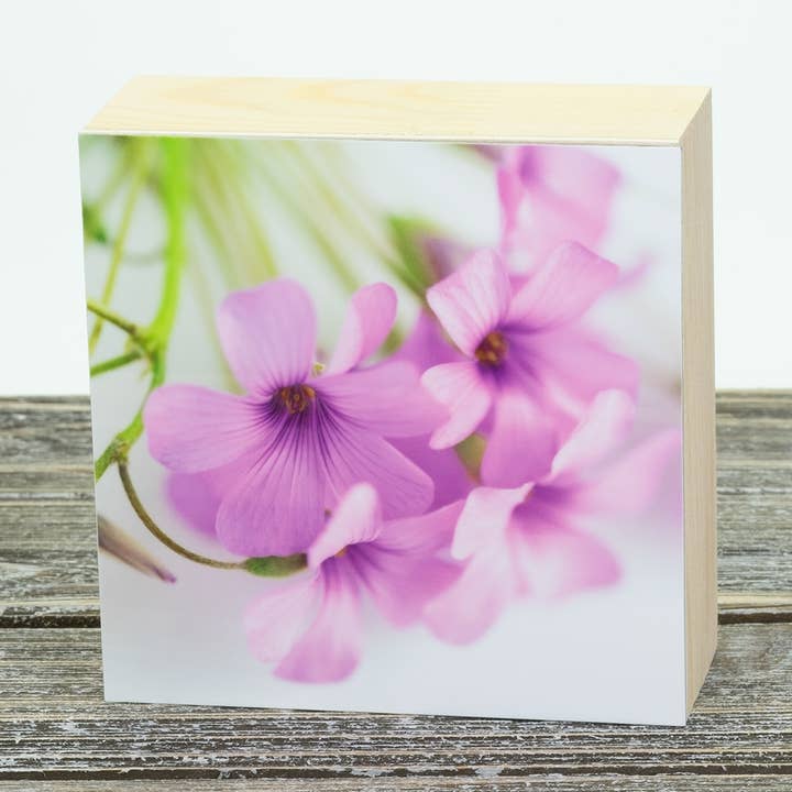 Wood Sorrel 4"x4" Aluminum Photograph On Wood Block for wholesale by Wyldeflower Studio