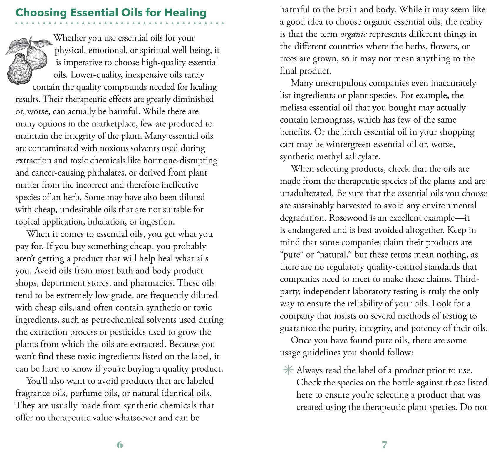 Hachette Book Group - Wholesale Tarot Cards - Essential Oils Healing Deck: 52 Cards for Mind, Body, Spirit2