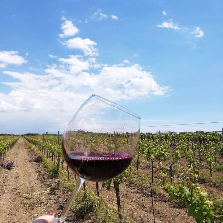 De Quarto Vitivinicoltori – Vinho tinto por atacado – Vinho tinto Dionysos Primitivo di Manduria Riserva DOP2