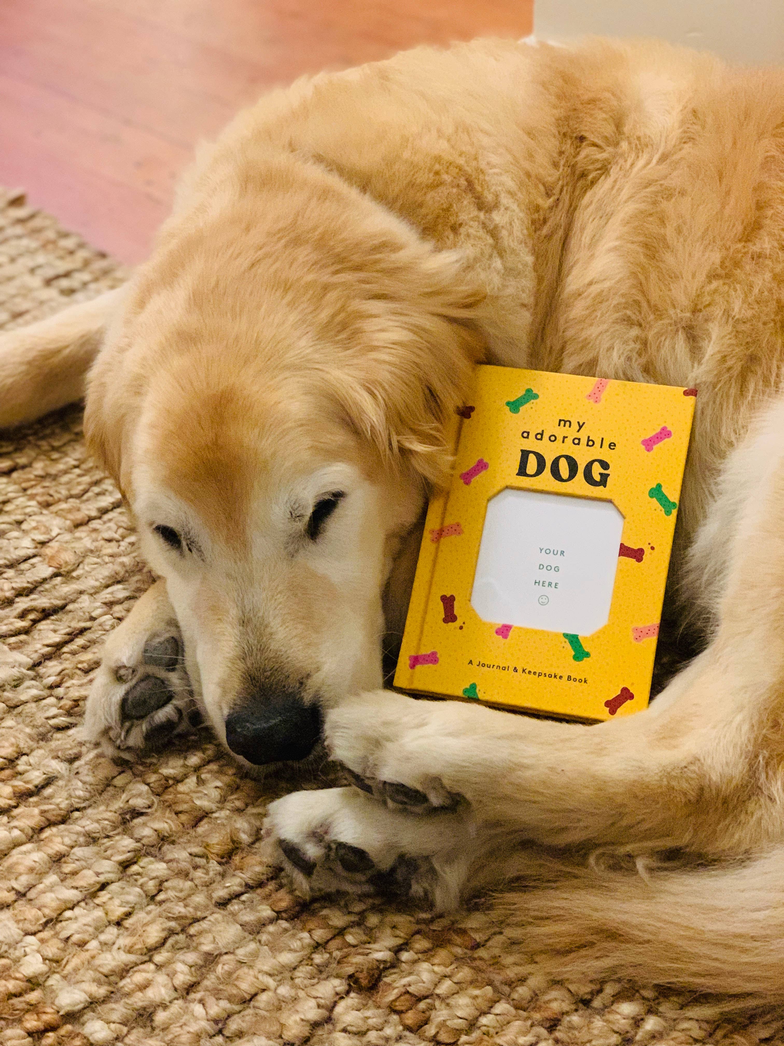 Chronicle Books - Wholesale Journal/Diary - My Adorable Dog2