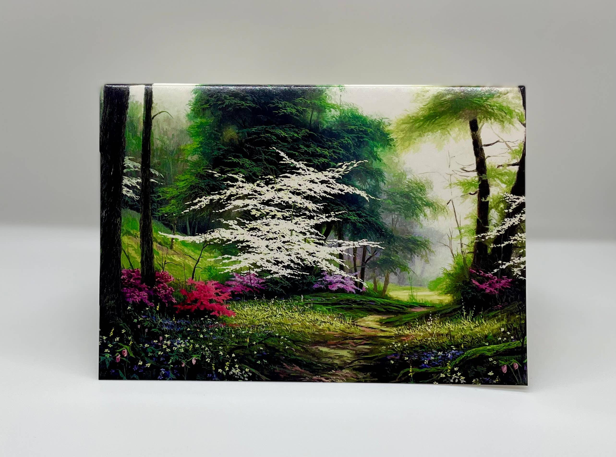 Gracefully Yours – Großhandel Beileidskarten – Trauerkarten — „Erinnerungen“ (4 Designs — 12er-Pack)7