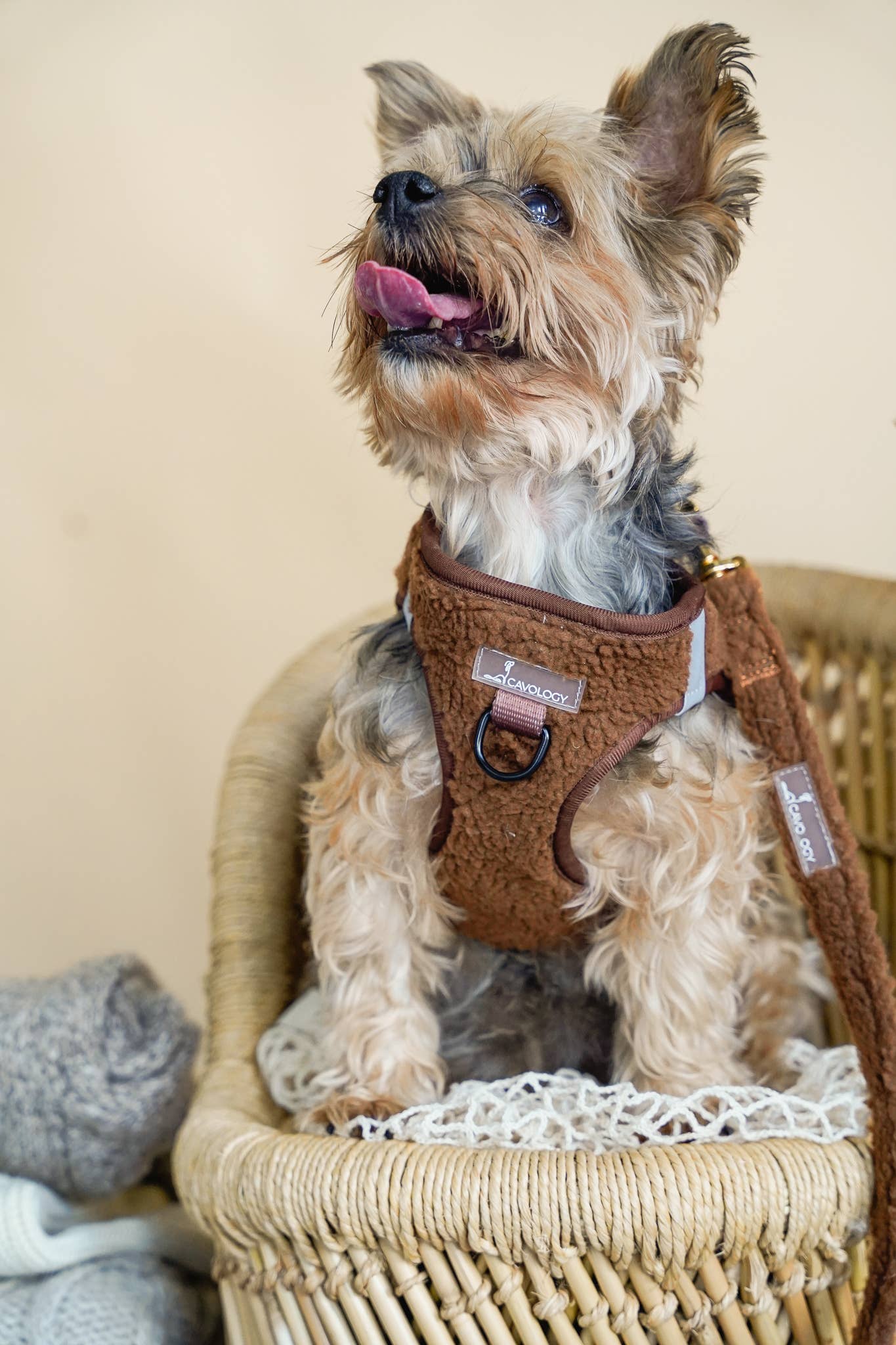 Cavology - Vendita all'ingrosso Pettorina - Cani - Pettorina a gilet per cane Step In marrone in sherpa teddy1