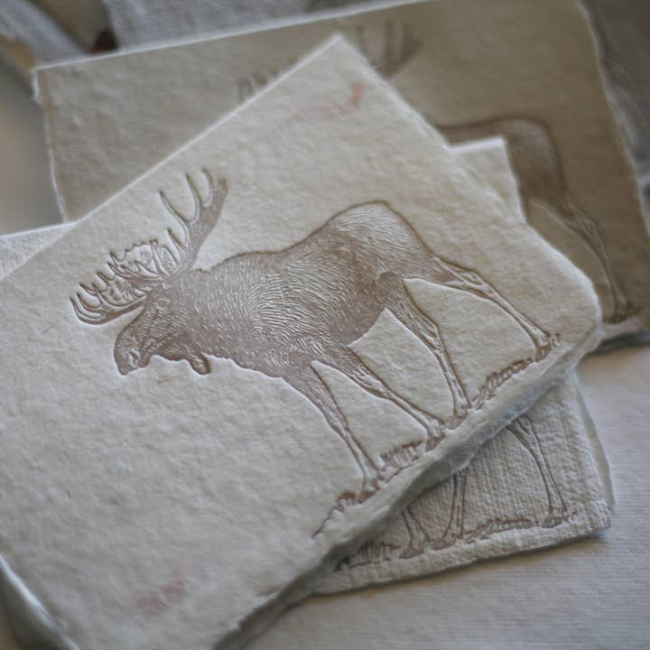 skelley west design co + letterpress - Wholesale Stationery/Notecard Set - Letterpress card pack | handmade paper | moose2
