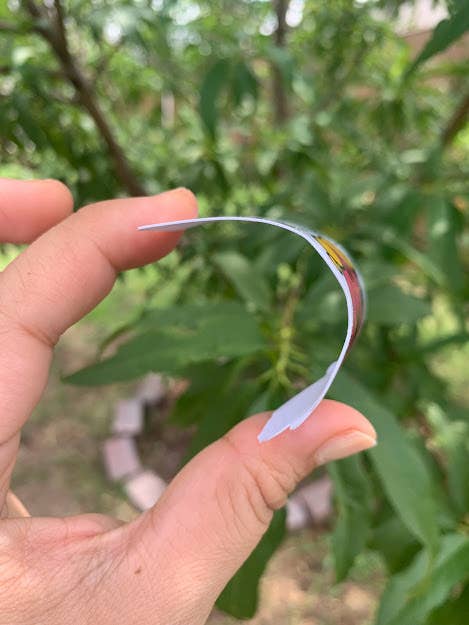 Lalatina Shop - Wholesale Sticker - Quitame lo tragona veladora sticker/water resistant sticker3