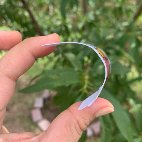 Lalatina Shop - Wholesale Phone & Laptop Stickers - Guatafac funny water resistant latinx sticker3