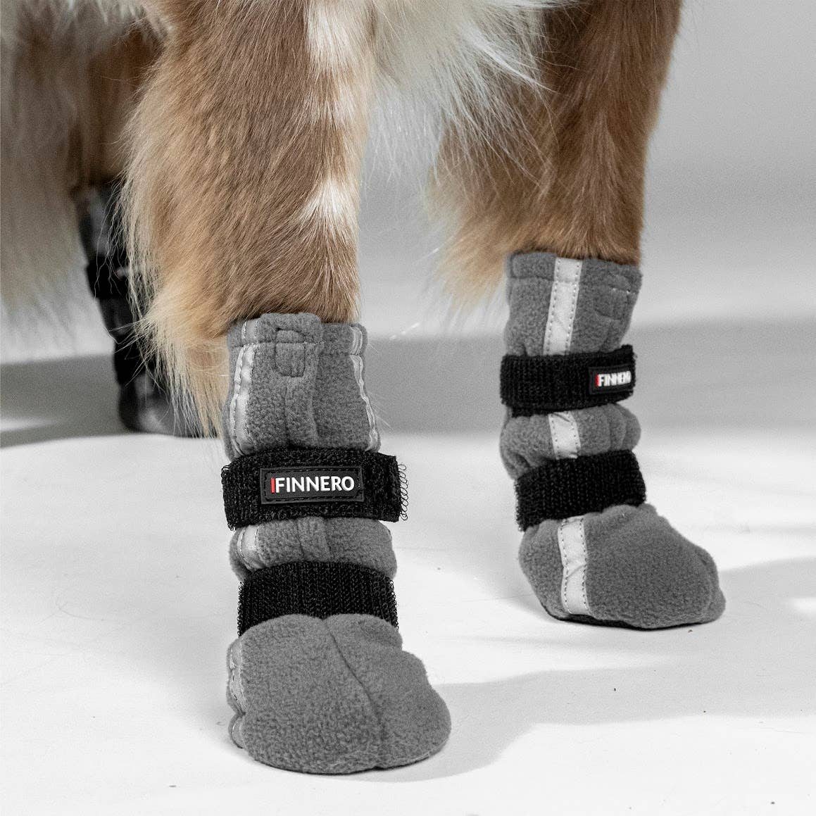 FINNERO - Wholesale Pet Boots - Dog - FINNERO HALLA REFLECTIVE Booties For Dogs 4pcs/pac, 3 Colors21