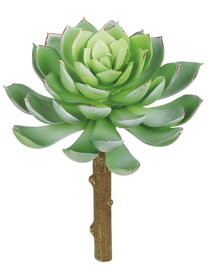 ECHEVERIA PICK, 6", GREEN, for wholesale by Select Artificials, Inc.
