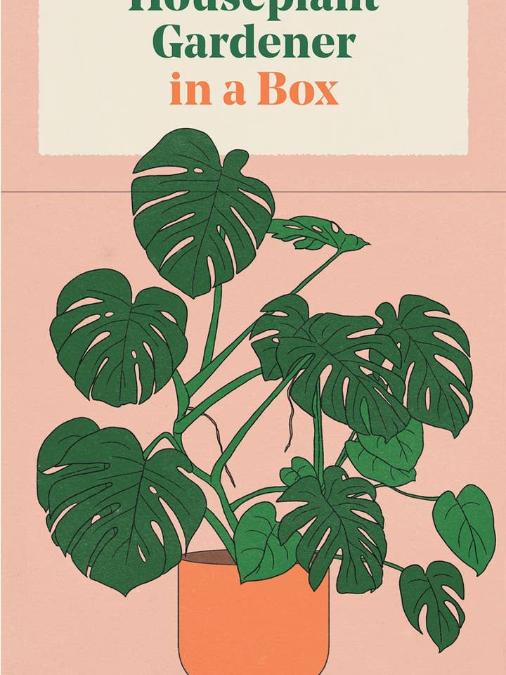 Houseplant Gardener in a Box for wholesale by Abrams