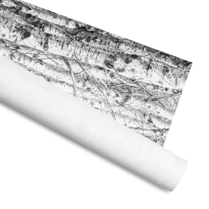 Right On Michigan - Wholesale Flat Wrap - Birch Cluster gift wrap paper3