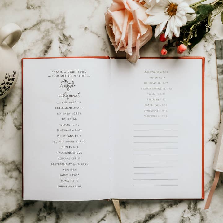 The Daily Grace Co - Wholesale Journal/Diary - Praying Scripture for Motherhood Journal