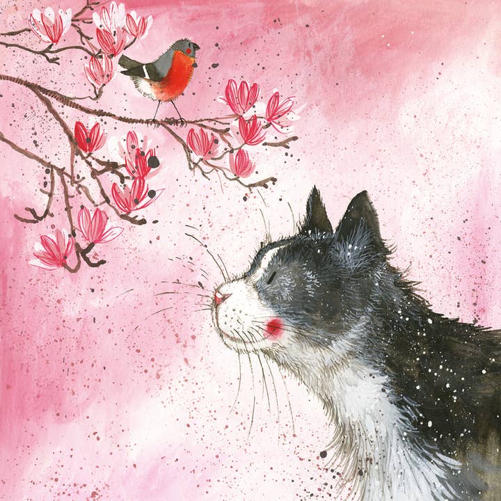 Alex Clark Art - Wholesale Coasters - Félix Coaster1