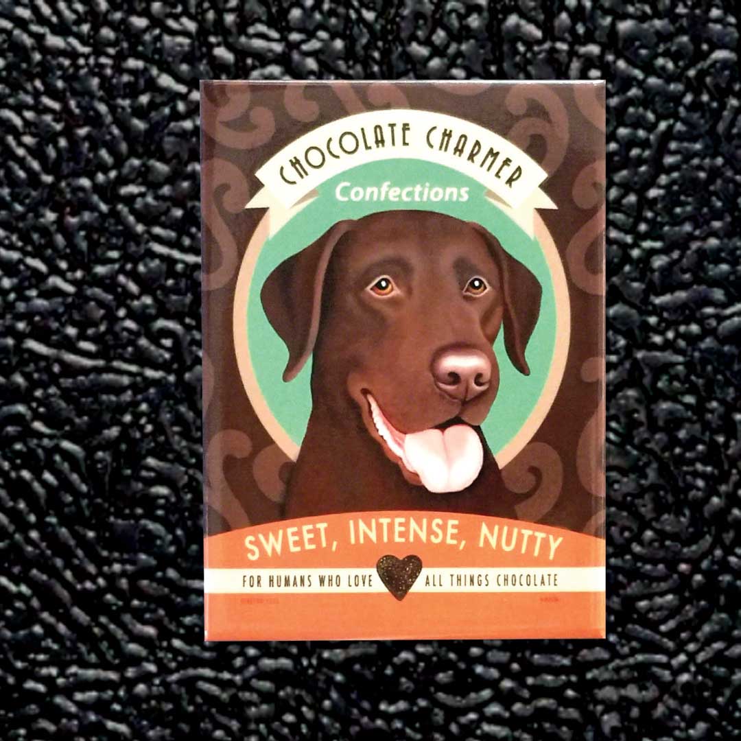 Retro Pets - Vendita all'ingrosso Calamite - Confezione da 4 magneti per frigorifero Labrador cioccolato affascinante3