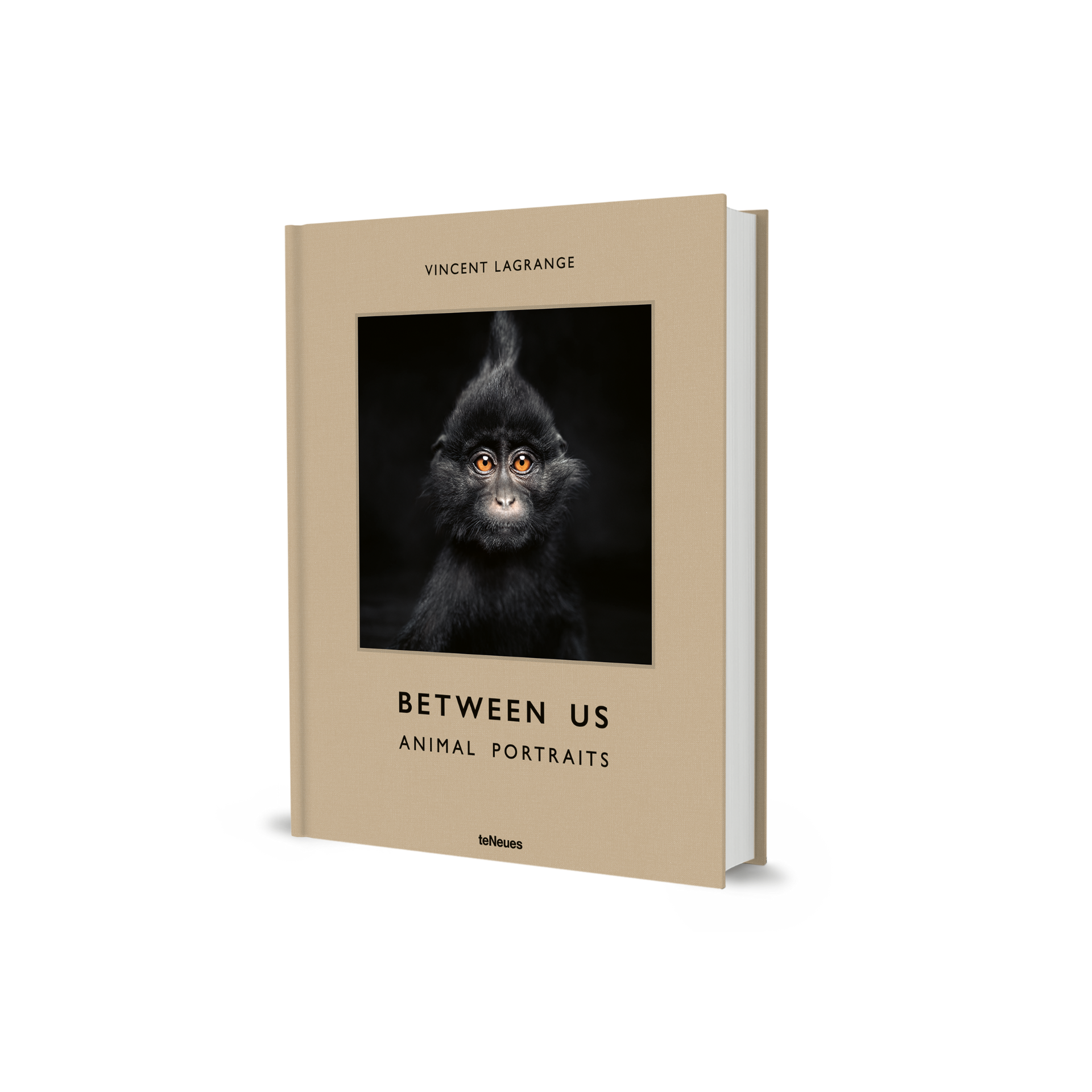 gestalten & teNeues - Wholesale Arts & Entertainment Book - Between Us1