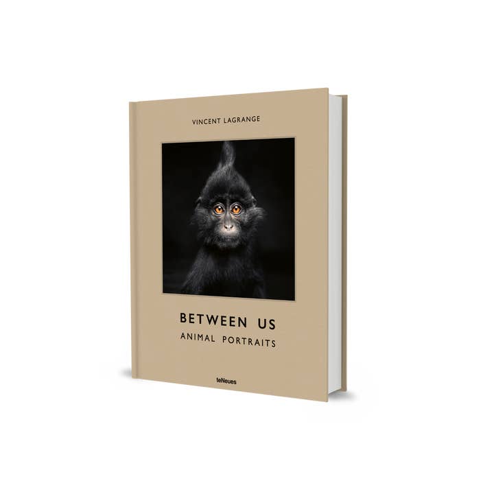 gestalten & teNeues - Wholesale Arts & Entertainment Book - Between Us1