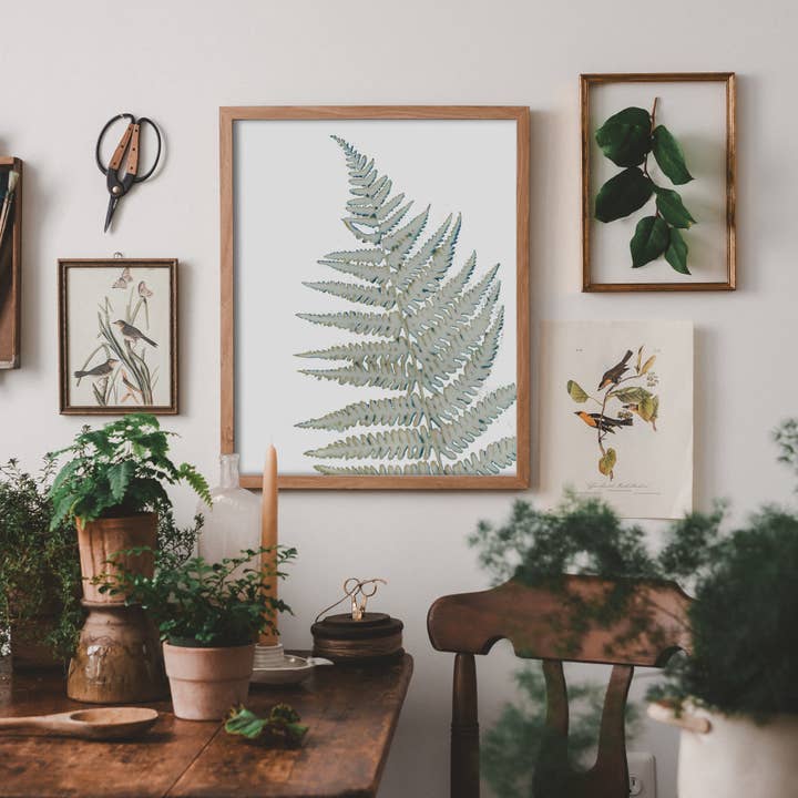 Skeleton Fern | Botanical Cyanotype Art Print for wholesale by Atwater Designs