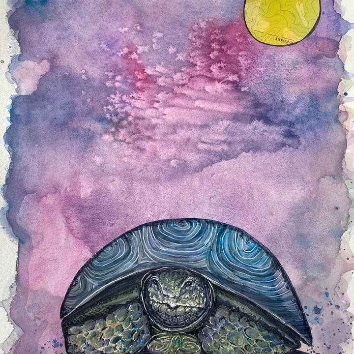Tortoise and Moon for wholesale by Shoog McDaniel