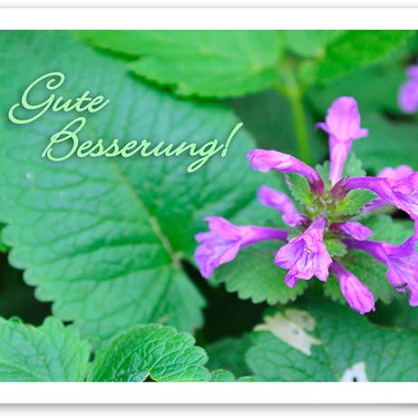 Gute Besserung / Grußkarte / 429008 für den Großhandel von Yabué