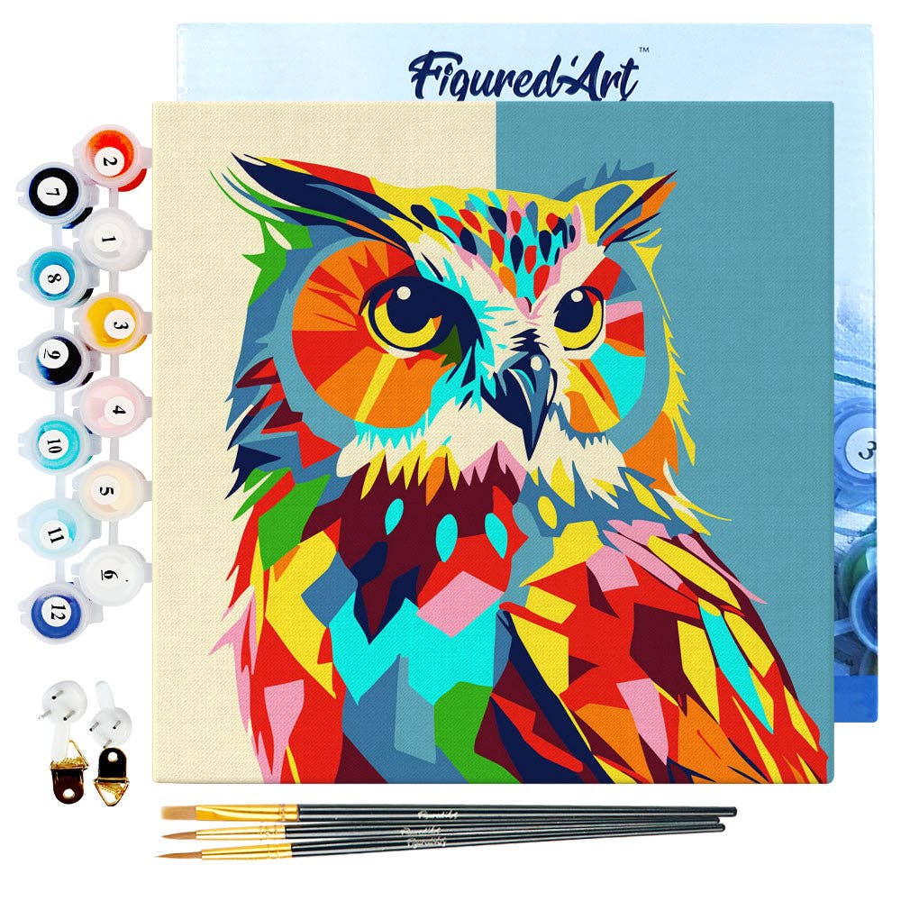 Figured'Art - Wholesale DIY Craft Kit - Mini Paint by numbers framed - Owl Abstract Pop Art0