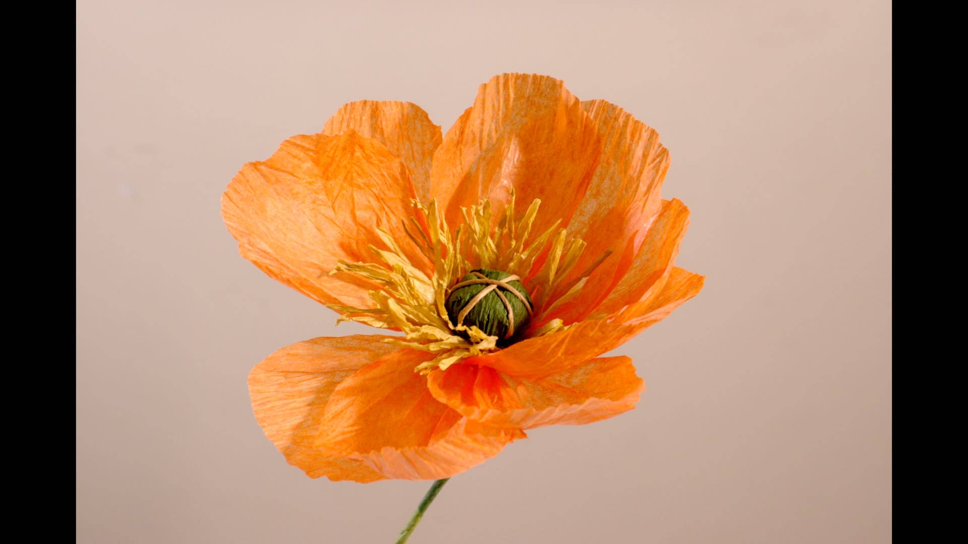 Beautiful Things By Bec - Vendita all'ingrosso Fiori finti - Papaveri di carta fatti a mano