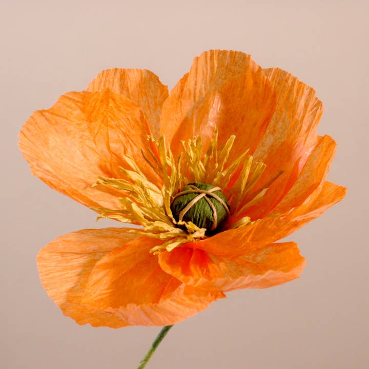 Beautiful Things By Bec - Vendita all'ingrosso Fiori finti - Papaveri di carta fatti a mano0