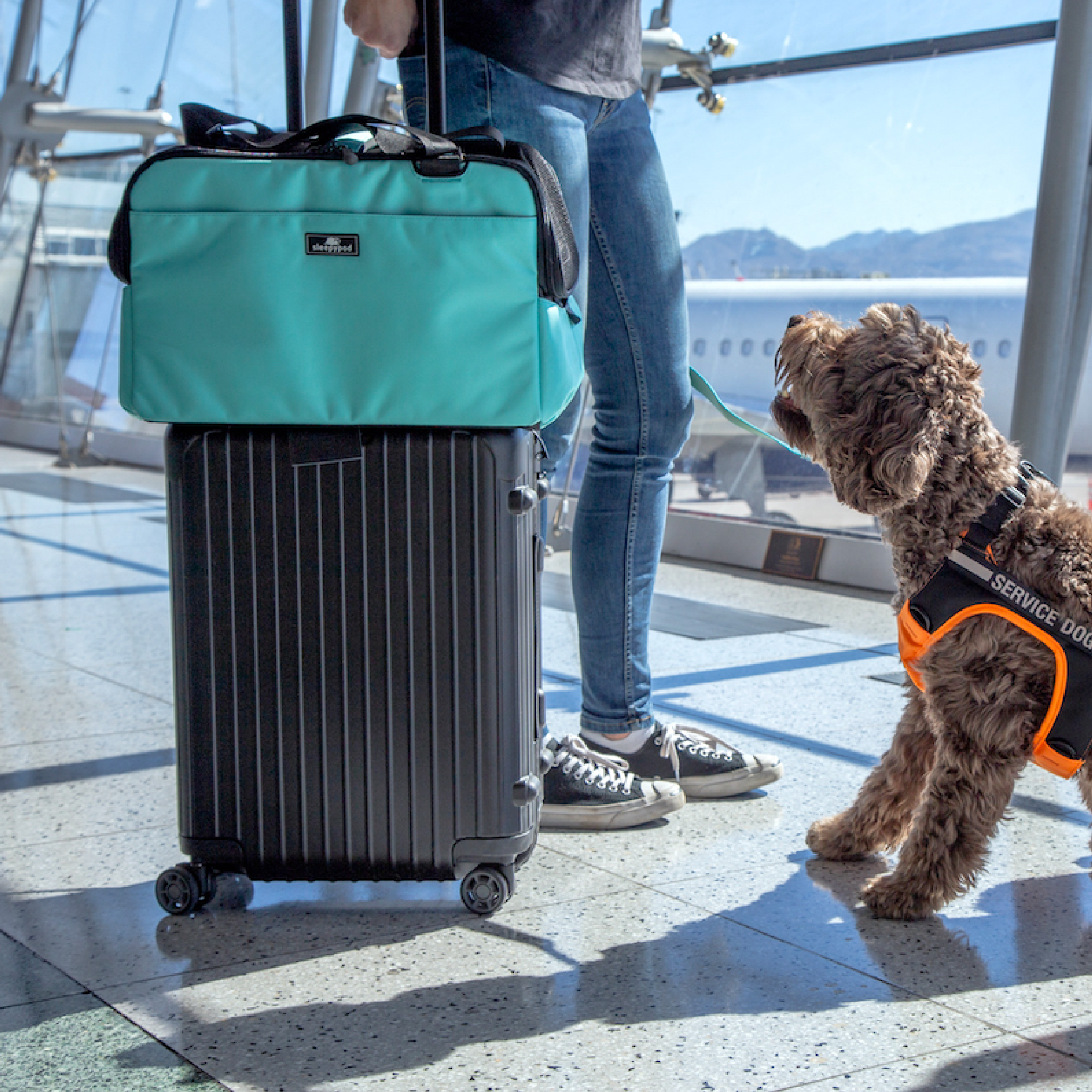 Sleepypod - Wholesale Pet Carrier - Dog - Sleepypod Atom26